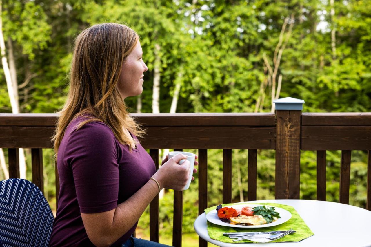 Upper Humber Settlement A Farmstay B&B Cormack 외부 사진
