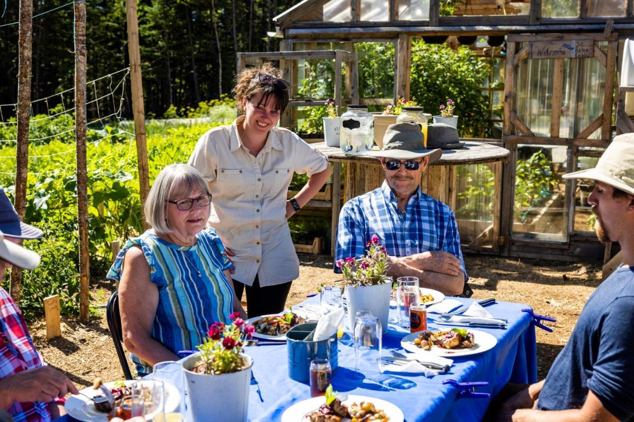 Upper Humber Settlement A Farmstay B&B Cormack 외부 사진